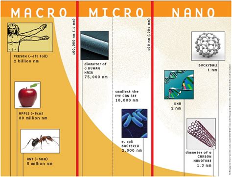 What’s the Difference Between Nano, Micro, Mid, Macro, and .
